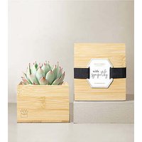Lula's Garden Bamboo Bliss - With Sympathy - FedEx