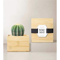 Lula's Garden Bamboo Cacti - You Did It - FedEx
