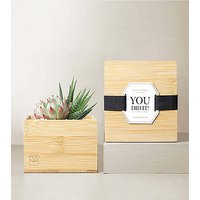 Lula's Garden Bamboo Glow - You Did It - FedEx