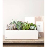 Lula's Lush Garden - I Love You - FedEx