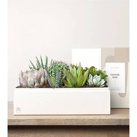 Lula's Lush Garden - Welcome Home - FedEx