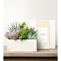Lula's Urban Garden - Congrats - FedEx