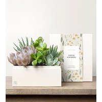 Lula's Urban Garden - Forever Remembered - FedEx