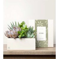 Lula's Urban Garden - Get Well - FedEx
