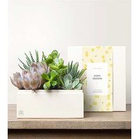 Lula's Urban Garden - Happy Birthday - FedEx