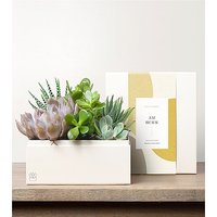 Lula's Urban Garden - Just Because - FedEx