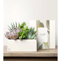 Lula's Urban Garden - FedEx