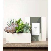 Lula's Urban Garden - Thank You - FedEx