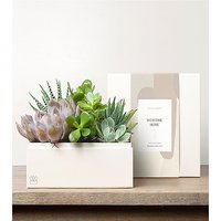 Lula's Urban Garden - Welcome Home - FedEx