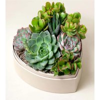 Lula's Heart Garden - FedEx