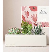 Lula's Jewel Garden - Valentine's Day - FedEx