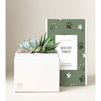 Lula's Bliss Garden - Best Pet Parent - Glow Garden - FedEx