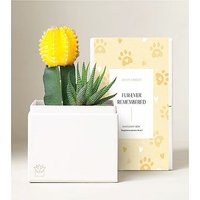 Lula's Garden Ray Garden - Furever Remembered - FedEx