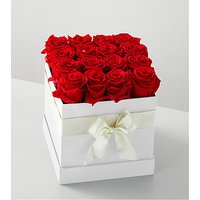 Red Forever Roses - 16 Preserved Roses - FedEx