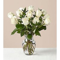 12 Stem Moonlight White Rose Bouquet With Ginger Vase - FedEx