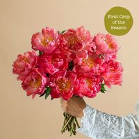 Freddies Flowers Enjoy 15% Off Stunning Birthday Bouquet with 10 Coral Charm Peonies