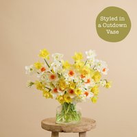 Freddies Flowers Enjoy 46% Discount on Classic 50 Yellow Daffodil Birthday Bouquet