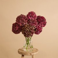 Freddies Flowers Enjoy 20% Discount on Christmas Bouquets with Rich WineRed Hydrangeas