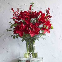 Amaryllis christmas flower bouquet | Beautiful red christmas flowers | Send flowers online | The Nutcracker | size: showstopper image