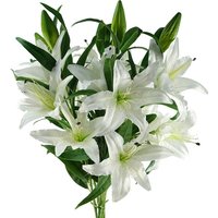 Leaf 6 X 100cm Large White Artificial Lily Stems - 18 Blooms Per Stem
