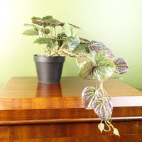 Leaf 35cm Artificial Trailing Purple Pothos Plant - Realistic, Low-maintenance