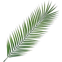Leaf 100cm Realistic Artificial Palm Leaf - Green