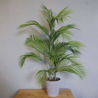 Leaf 90cm Artificial Palm Tree - Realistic & Low Maintenance Botanical For Home & Office
