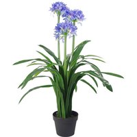 Leaf Premium Artificial Agapanthus 90cm - Blue Blooms With Pot