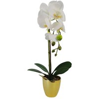 Leaf 46cm Artificial Orchid - White & Gold
