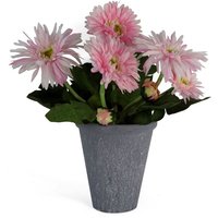 Leaf Artificial Potted Daisy - Pink 33cm