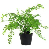Leaf 35cm Artificial Southern Maidenhair Fern Plant