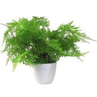 Leaf 30cm Artificial Potted Lady Fern - Realistic Green Foliage