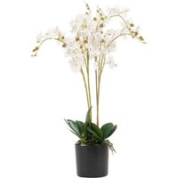 Leaf 60cm Realistic Artificial Orchid Display In Pot