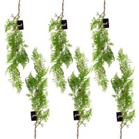 Leaf 100cm Artificial Hanging Maidenhair Fern Plants - Set Of 6 Dark Green