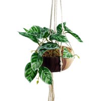 Leaf 85cm Hanging Artificial Pothos Plant With Planter
