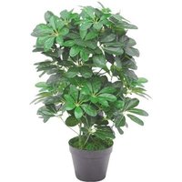 Leaf 55cm Artificial Schefflera Arboricola Plant - Dark Green