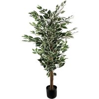 Leaf 130cm Variegated Ficus Tree - White & Green