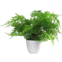 Leaf 30cm Artificial Potted Lady Fern