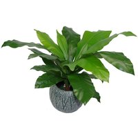 Leaf 60cm Artificial Bird's Nest Fern Plant - Realistic Faux Greenery