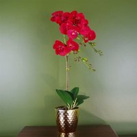 Leaf 50cm Artificial Red Leopard Phalaenopsis Orchid In Gold Pot