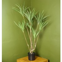 Leaf 125cm Artificial Dragon Plant Tree - Realistic Natural Look