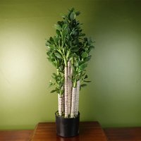 Leaf Artificial Deluxe 75cm Green Jade Plant