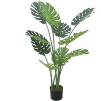 Leaf 120cm (4ft) Luxury Monstera Plant - Black Pot