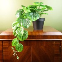 Leaf Artificial Trailing Pothos Plant - 35cm Realistic Natural Look