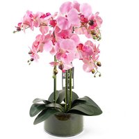 Leaf 50cm Artificial Orchid Plant In Glass Planter - Pink
