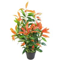 Leaf 80cm Artificial Red And Green Ficus Plant