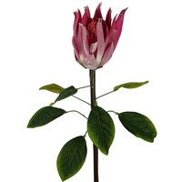 Leaf 65cm Pink Protea Sugarbush Artificial Flower Stem