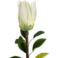 Leaf 65cm White Protea Sugarbush Artificial Flower Stem