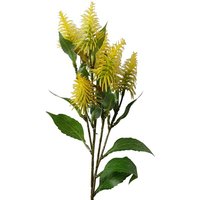 Leaf Yellow Bottle Brush Callistemon Pallidus Stem - 55cm