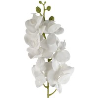 Leaf 100cm Artificial Phalaenopsis Orchid Stem - White